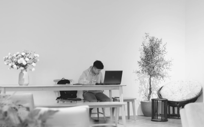 What are Massive Open Online Course (OLX)?